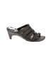 Donald J Pliner Brown Heels Size 6 - photo 1