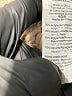 J.Crew Tan Turtleneck Sweater Size XXS - photo 8