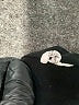 Beyond Yoga Black Active Pants Size S - photo 8