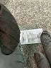 BP. Black Dress Pants Size XS - photo 8