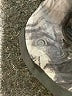 C9 By Champion Paisley Silver Athletic Shorts Size 4 (estimated) - photo 3