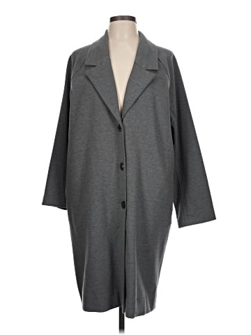 Everlane Coat (view 1)