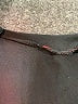 Assorted Brands Black Casual Skirt Size L (estimated) - photo 4