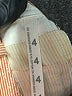 Paper Boy Solid Tan Casual Pants Size 4 - photo 8