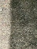 Zella Blue Active Pants Size XL - photo 5