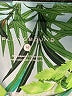 Playground Tropical Green Leggings Size M - photo 4