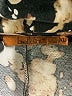 Belldini Animal Print Brown 3/4 Sleeve Blouse Size XL - photo 7