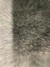 41Hawthorn Gray Casual Dress Size L - photo 8