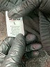 DSG Solid Black Track Pants Size L - photo 7