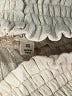 Assorted Brands Ivory Casual Pants Size XS - photo 7