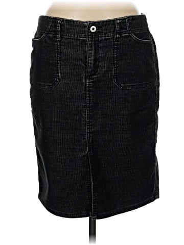 Express Denim Skirt (view 1)