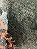 Unbranded Brown Tube Top Size 2X - photo 8