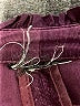 Unbranded Purple Blazer Size M (estimated) - photo 6
