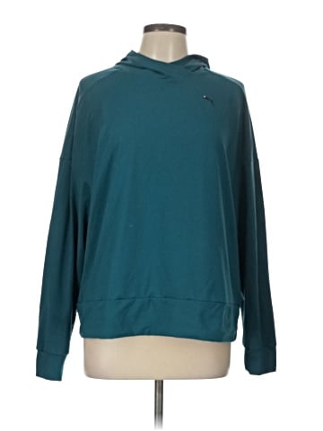 Puma Pullover Hoodie (view 1)