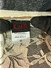LNA 100% Polyester Ivory Short Sleeve Blouse Size M - photo 7