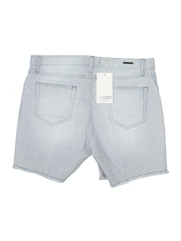 Carve Designs Denim Shorts (view 2)