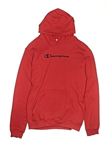 Champion Pullover Hoodie (view 1)