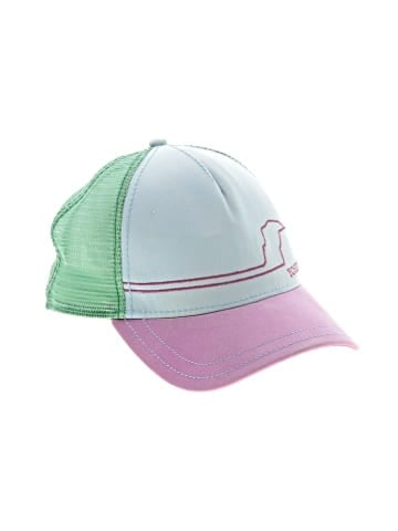 Pistil Baseball Cap (view 1)