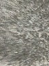 Brixton Ivory Short Sleeve Button-Down Shirt Size M - photo 8