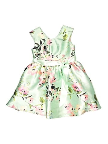 Zunie Dress (view 1)