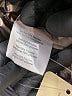 Firenze 100% Polyester Metallic Gold Coat Size S - photo 7