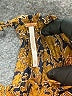 Free People 100% Polyester Paisley Brown Casual Dress Size XS - photo 6