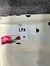 LPA Floral Ivory Casual Skirt Size M - photo 4