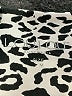 Assorted Brands Animal Print Ivory Casual Skirt Size M - photo 4