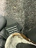 Clara S. Animal Print Ivory Jacket Size 1X - photo 7