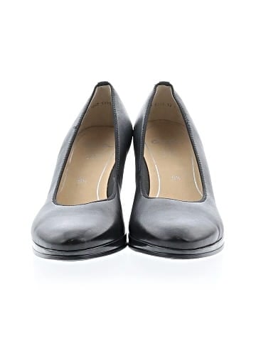 Ara Heels (view 2)