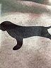 The Black Dog Gray Sweatpants Size 34 waist (estimated) - photo 7