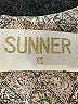 Sunner 100% Silk Paisley Tan Casual Dress Size XS - photo 7