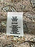 Sunner 100% Silk Paisley Tan Casual Dress Size XS - photo 8