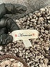 Assorted Brands 100% Polyester Tweed Gray Brown Pullover Sweater Size 1X - photo 7