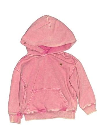 Baby Gap Pullover Hoodie (view 1)