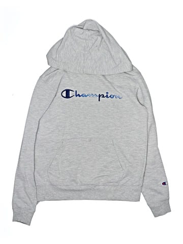 Champion Pullover Hoodie (view 1)