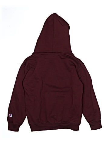 Champion Zip Up Hoodie (view 2)