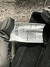 Blanc Noir Black Active Pants Size M - photo 8