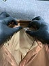 Jodifl 100% Polyester Brown Casual Dress Size S - photo 7