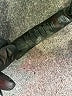 Topshop Black Active Pants Size 8 - photo 7