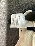 J.Crew Ivory Cardigan Size L - photo 8