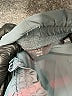 Danskin Solid Gray Athletic Shorts Size XL - photo 3