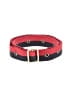 Clare V. Red Belt One size - photo 1