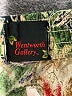 Wentworth Gallery Tropical Green Board Shorts Size EU 38 - photo 3