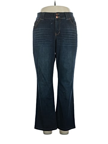 Lane Bryant Jeans (view 1)