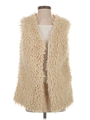 Chic Faux Fur Vest (view 1)