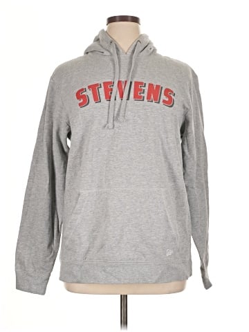 New Era Sweatshirt (view 1)