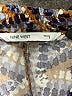 Nine West Print Blue Shorts Size S - photo 3