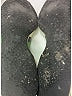 Gucci Green White Sneakers Size EU (IT) 36 / US 6 (wide) - photo 9