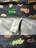 Lularoe Print Black Leggings Size 1X (Tall & Curvy) - photo 7